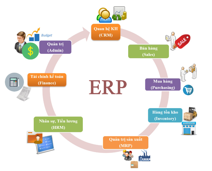 Tổng hợp chức năng của ERP