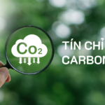 Tín chỉ Carbon là gì? Bạn hỏi – DEHA trả lời