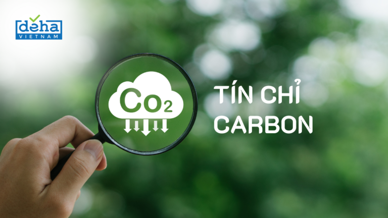 tin-chi-carbon-thumb