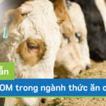 Hướng dẫn lập BOM cho ngành sản xuất thức ăn chăn nuôi