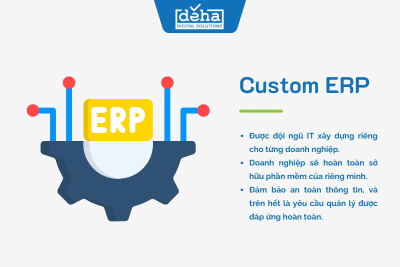 Custom ERP