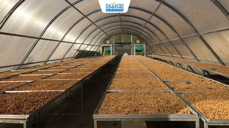 quan-ly-dieu-khien-he-thong-say-nong-san-thumb