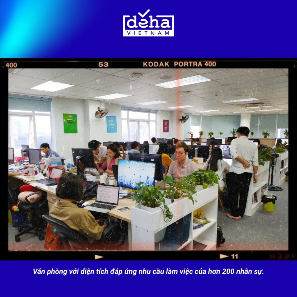 cọt-moc-5-deha-10-nam-2