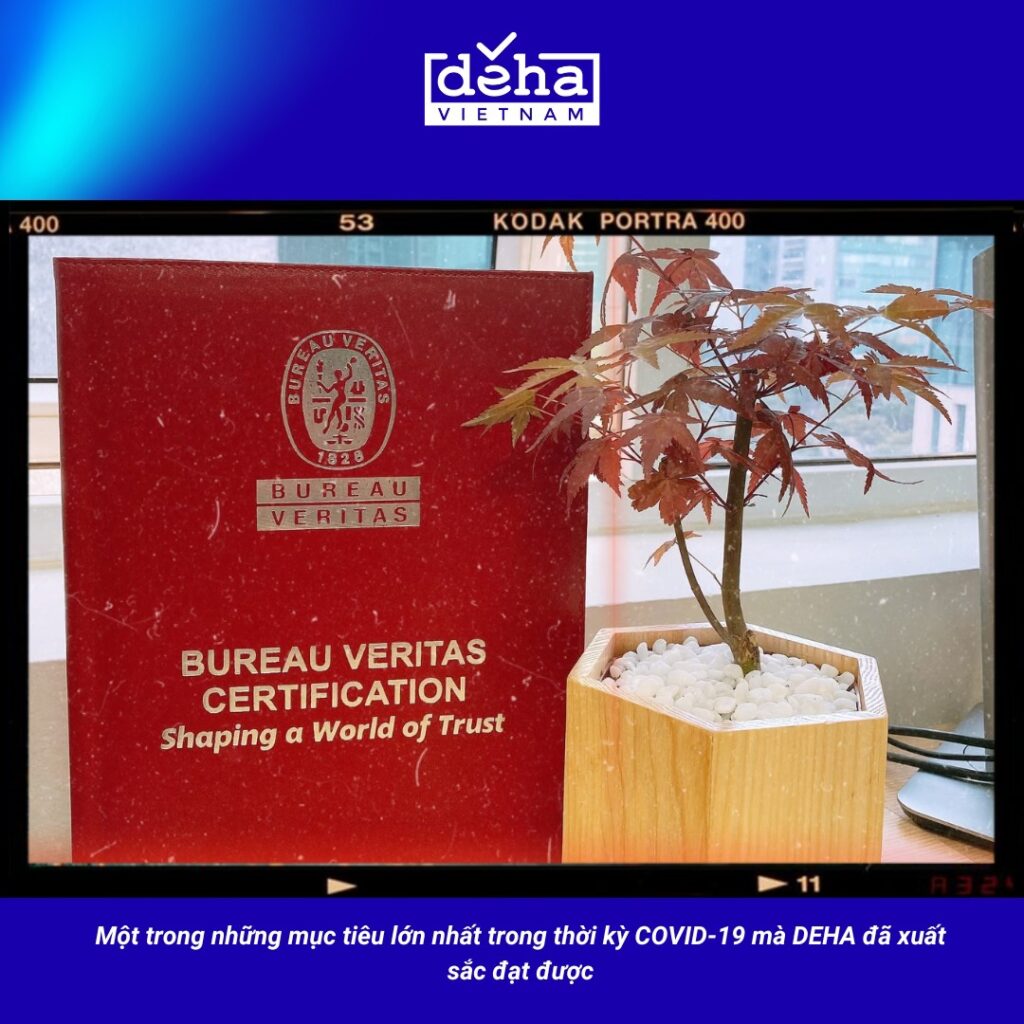 cọt-moc-7-deha-10-nam-1