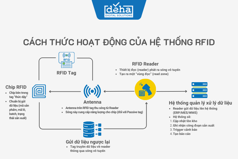 cach-thuc-hoat-dong-cua-he-thong-rfid (1)