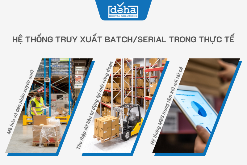 he-thong-truy-xuat-batch-serial-1